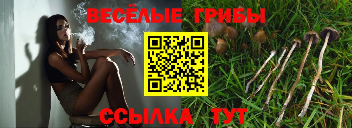 Псилоцибиновые грибы Cubensis  Галлюциногенные грибы GOLDEN TEACHER  Ханты-Мансийск  Вход с VPN 