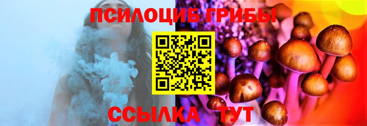 Псилоцибиновые грибы мицелий Ханты-Мансийск